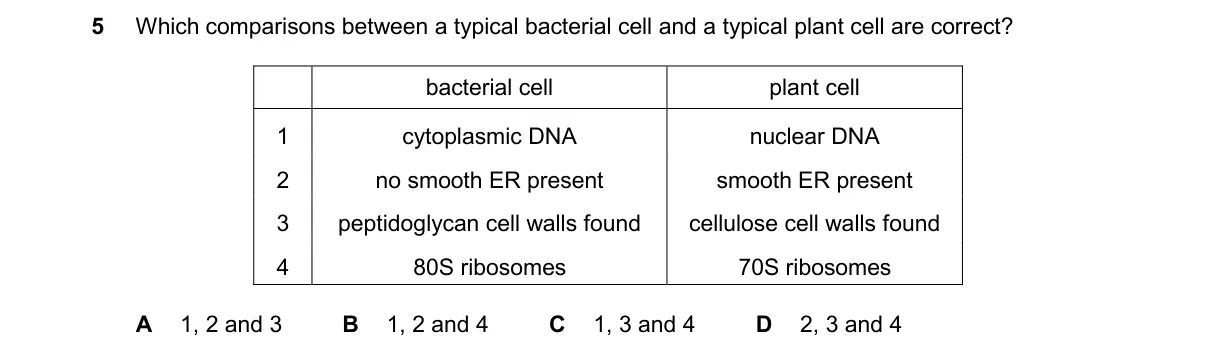 Question 5 from 9700/11/M/J/25
