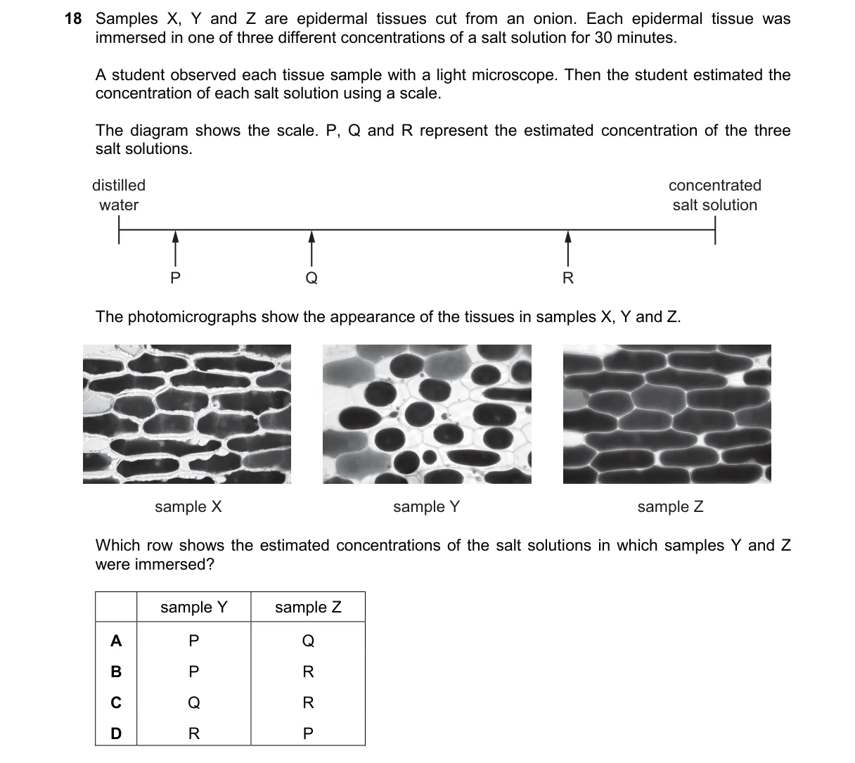 Question 18 from 9700/12/M/J/25