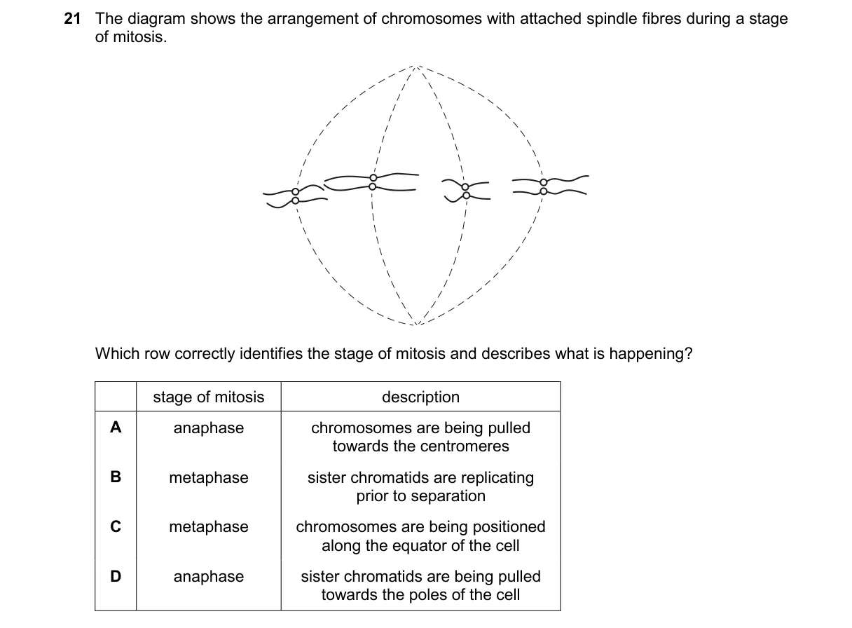 Question 21 from 9700/12/M/J/25