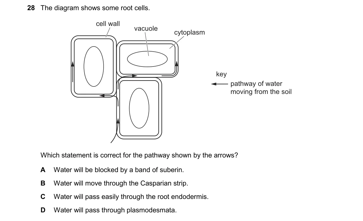 Question 28 from 9700/12/M/J/25