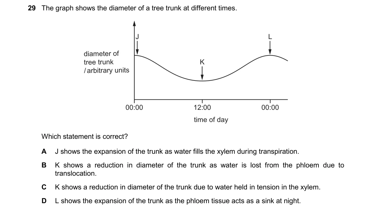 Question 29 from 9700/12/M/J/25