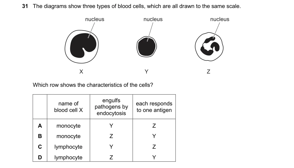 Question 31 from 9700/12/M/J/25