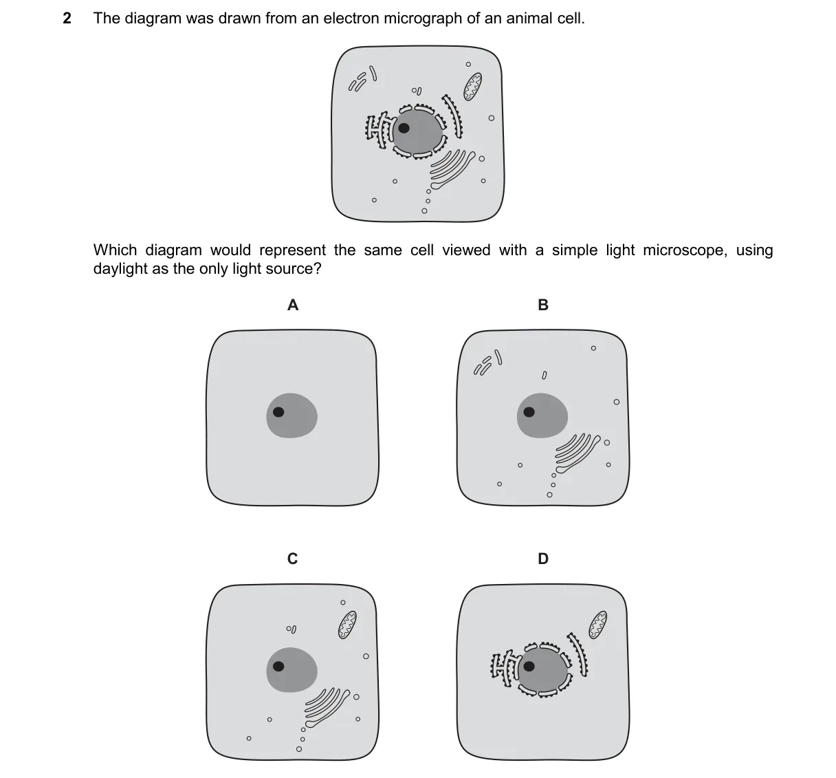 Question 2 from 9700/13/M/J/25