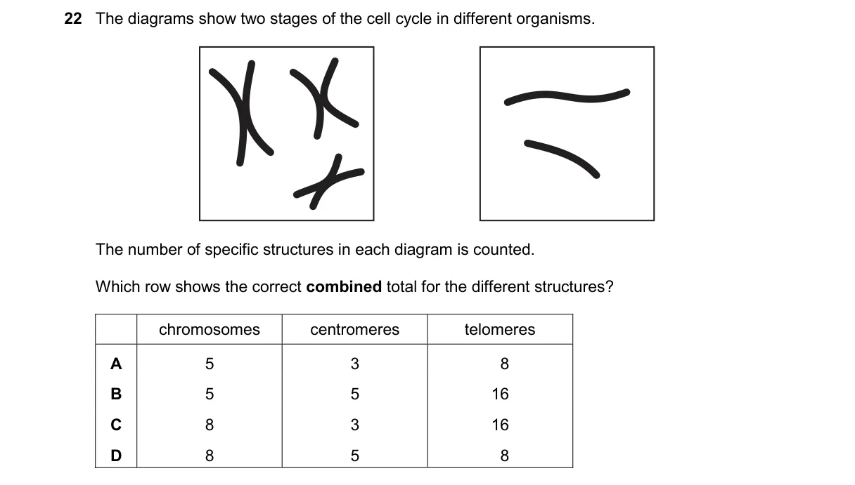 Question 22 from 9700/13/M/J/25