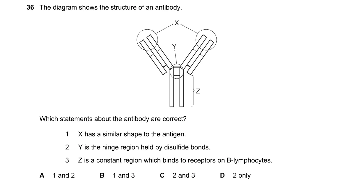 Question 36 from 9700/13/M/J/25