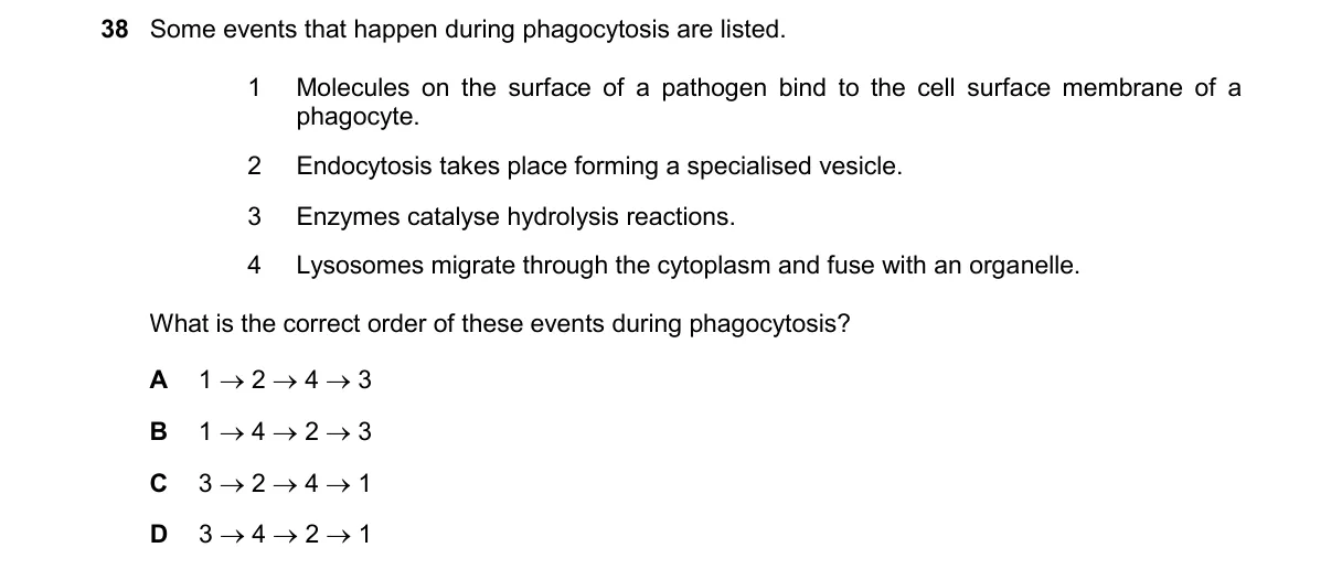 Question 38 from 9700/13/M/J/25