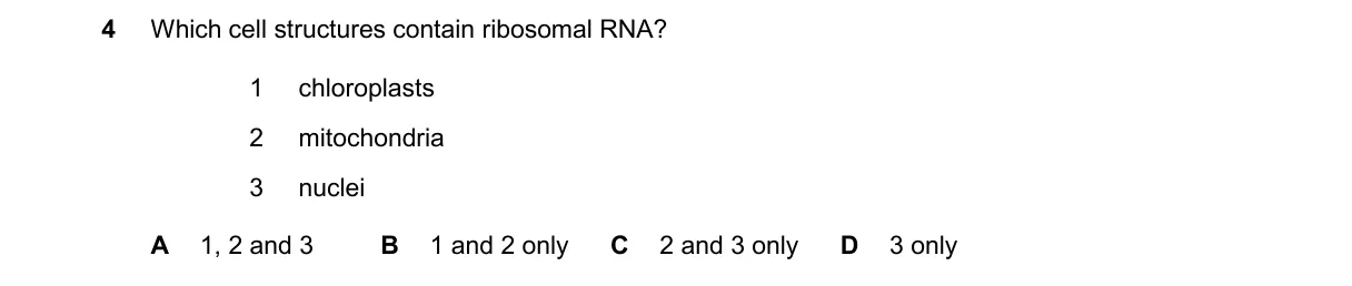 Question 4 from 9700/13/M/J/25
