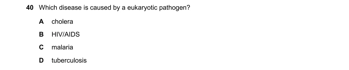 Question 40 from 9700/13/M/J/25