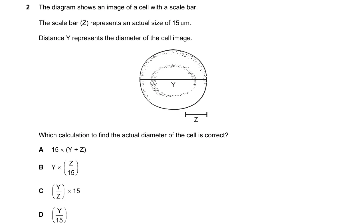 Question 2 from 9700/14/M/J/25