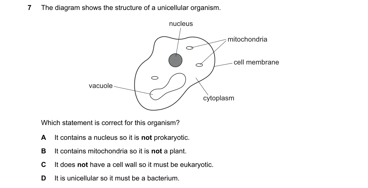 Question 7 from 9700/14/M/J/25