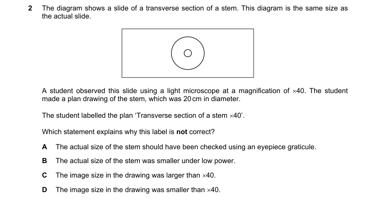 Question 2 from 9700/11/O/N/18