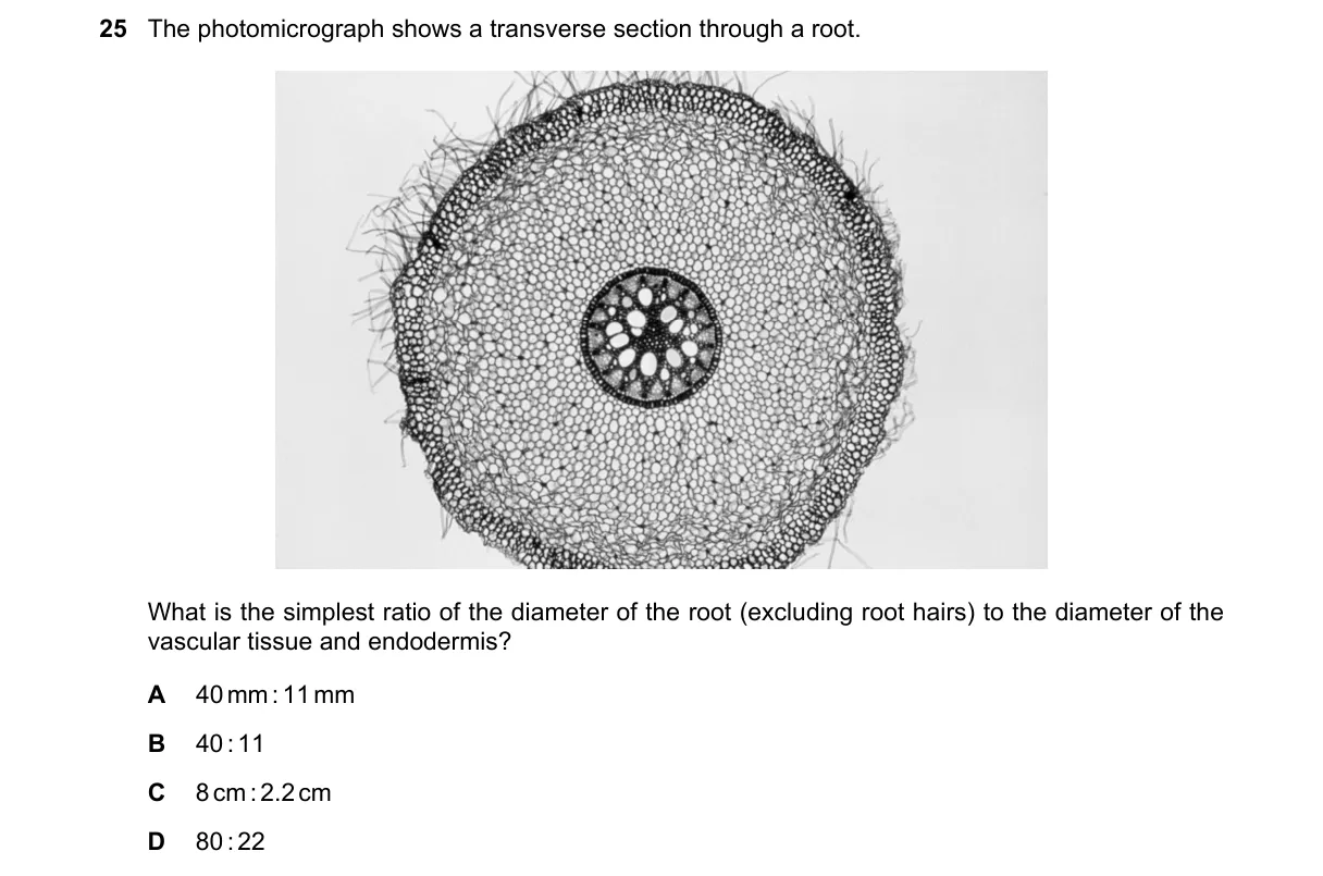 Question 25 from 9700/11/O/N/18