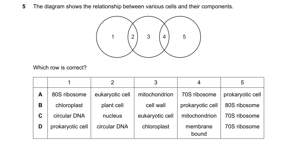Question 5 from 9700/11/O/N/18