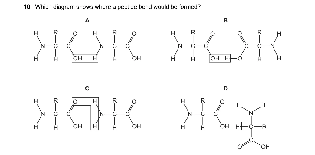 Question 10 from 9700/12/O/N/18