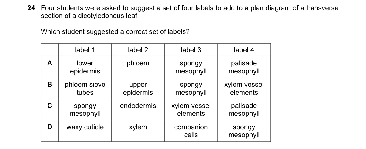 Question 24 from 9700/13/O/N/18