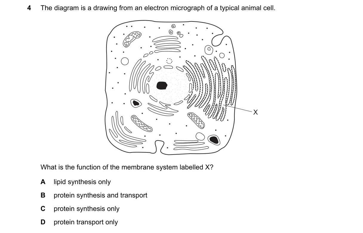 Question 4 from 9700/13/O/N/18