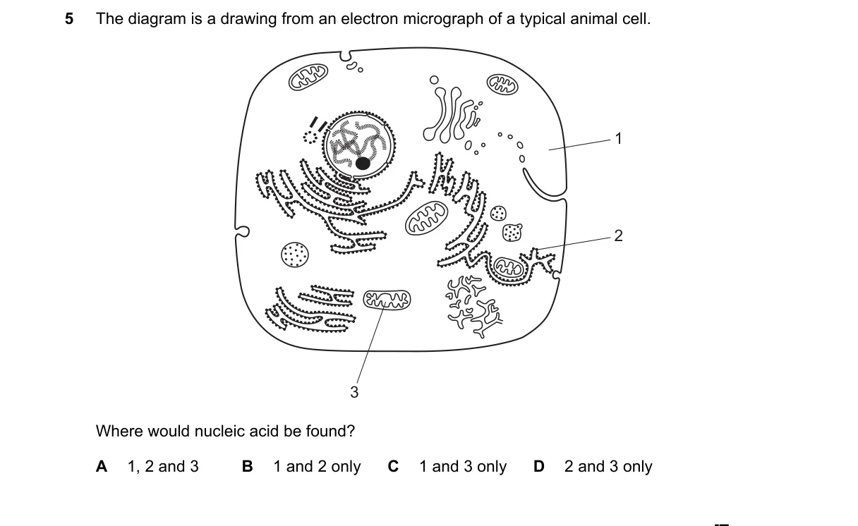 Question 5 from 9700/13/O/N/18
