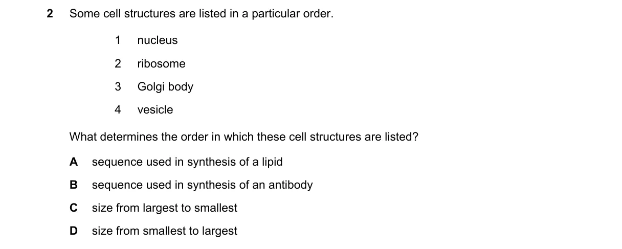 Question 2 from 9700/11/O/N/19