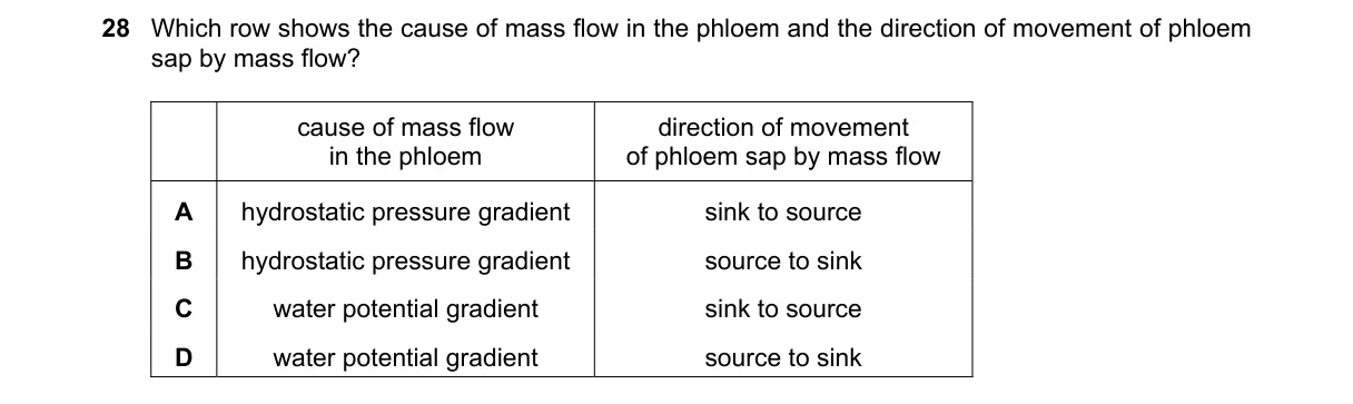 Question 28 from 9700/11/O/N/19