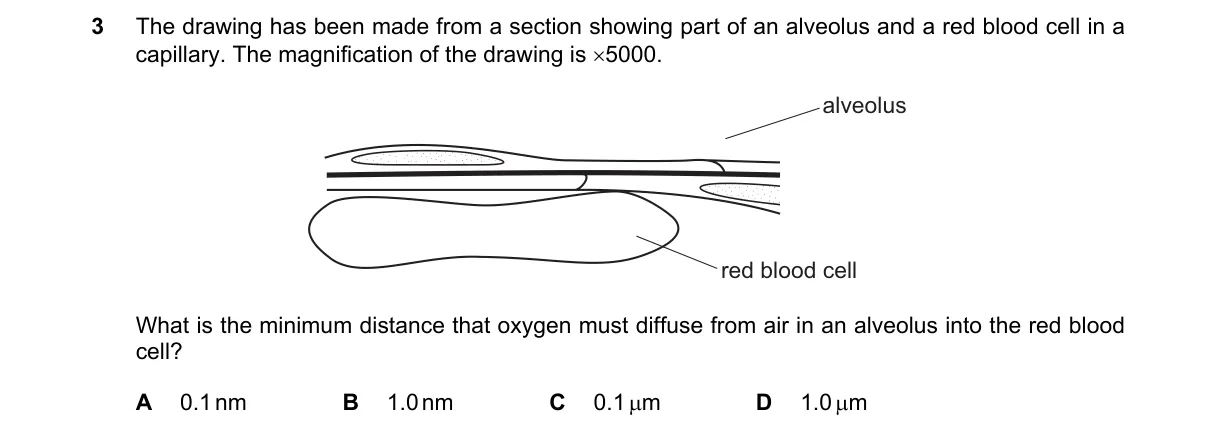 Question 3 from 9700/11/O/N/19