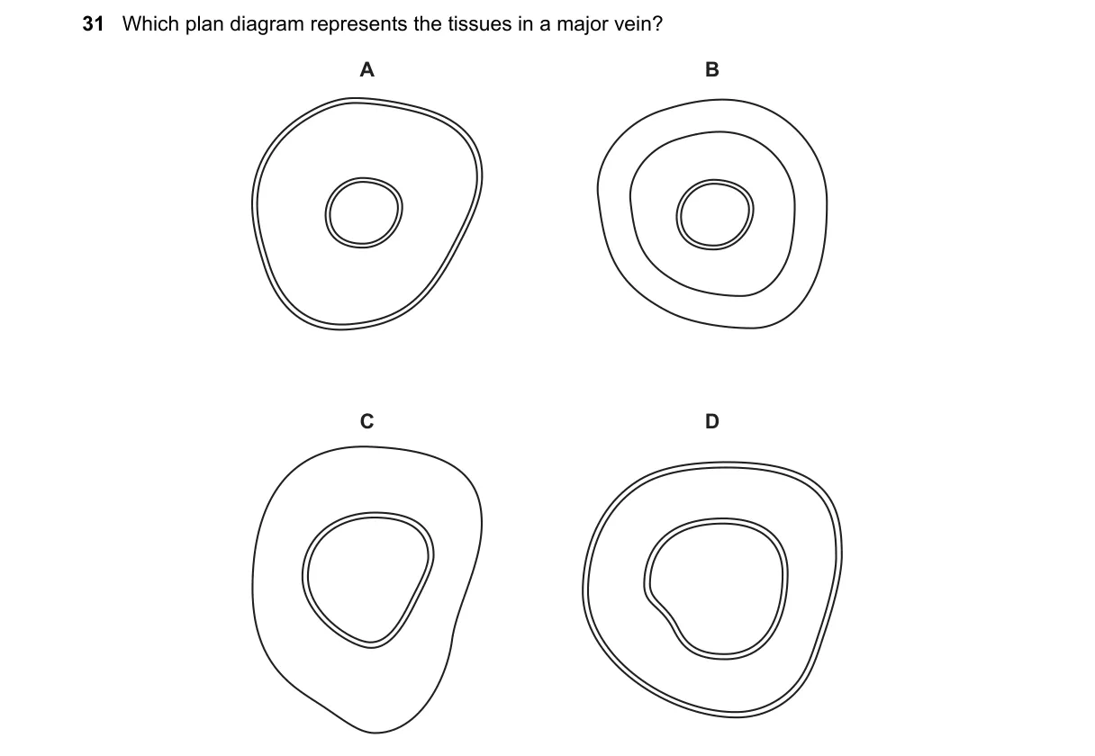 Question 31 from 9700/11/O/N/19