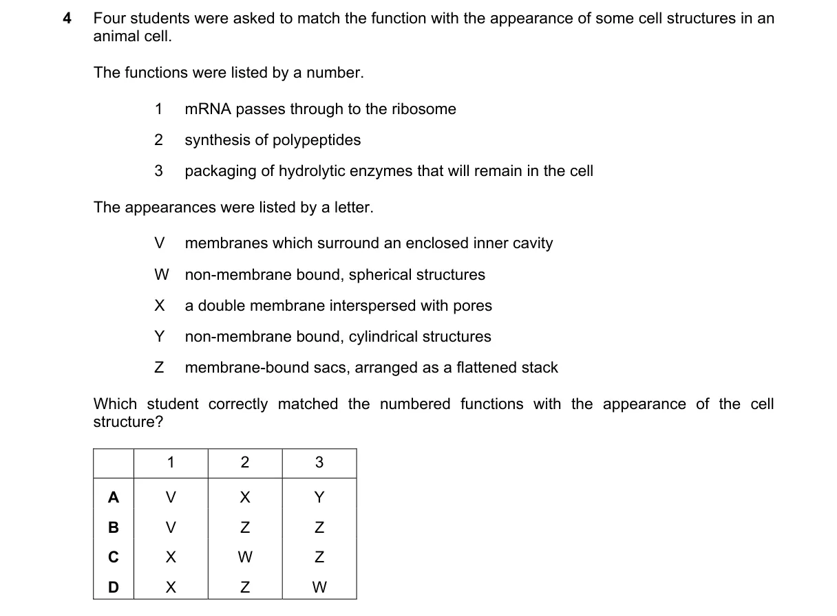 Question 4 from 9700/11/O/N/19