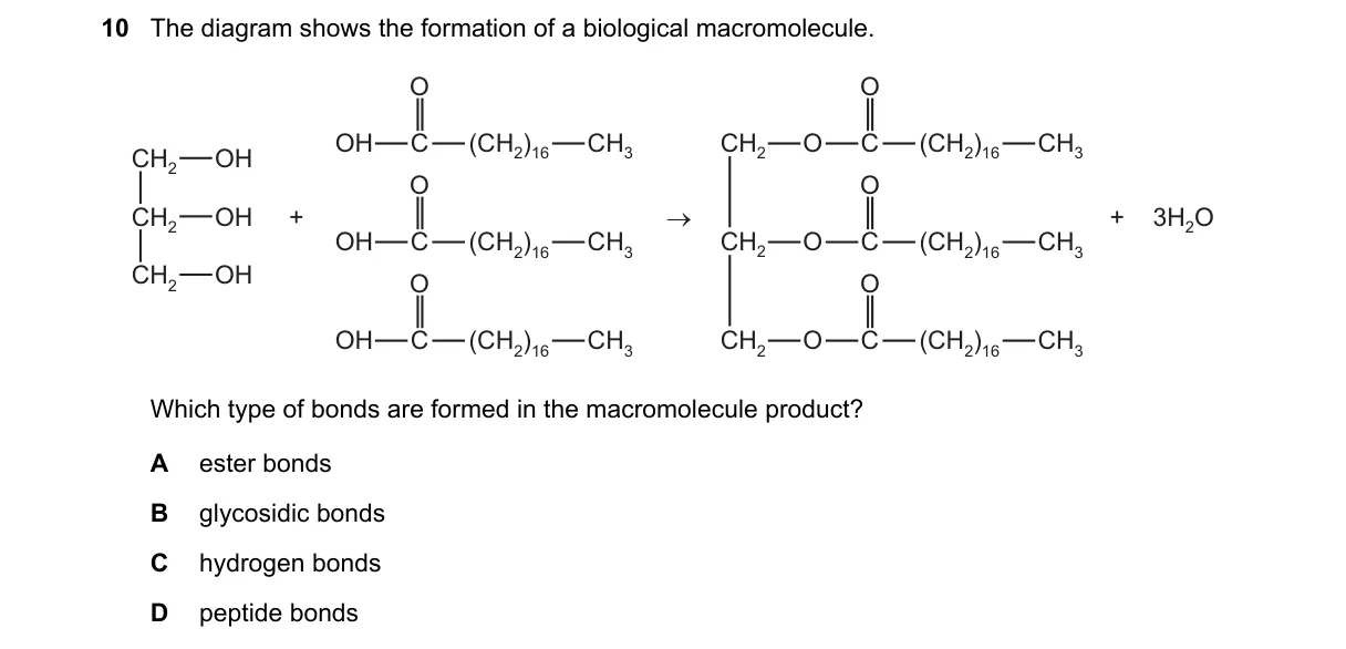 Question 10 from 9700/12/O/N/19