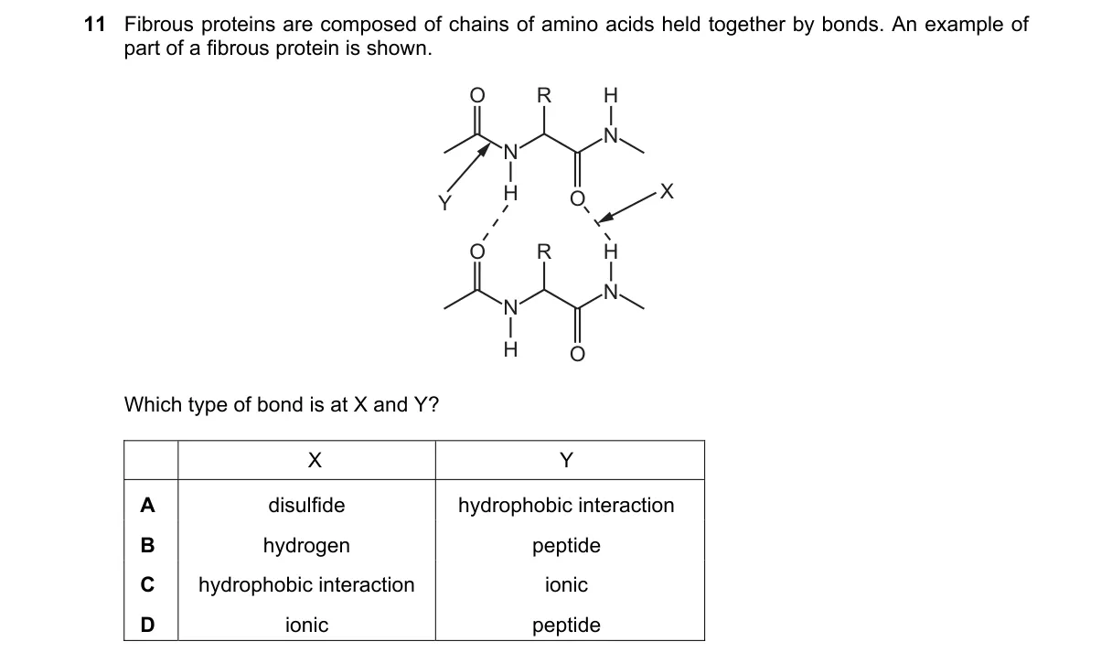 Question 11 from 9700/12/O/N/19