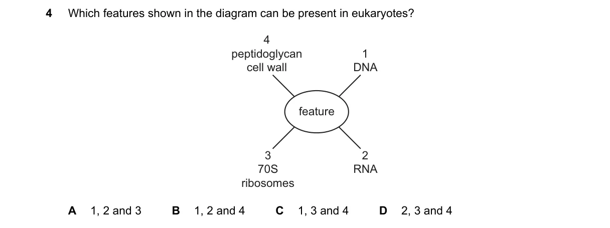 Question 4 from 9700/12/O/N/19