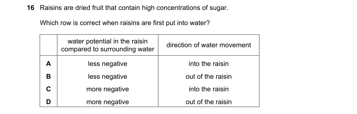 Question 16 from 9700/13/O/N/19