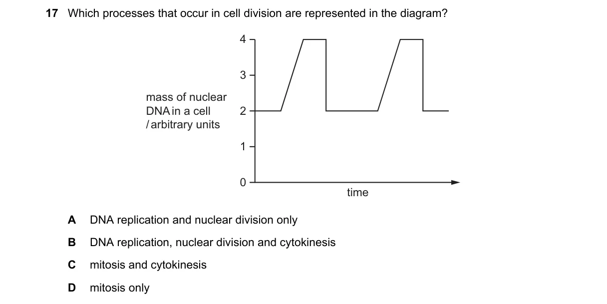 Question 17 from 9700/13/O/N/19