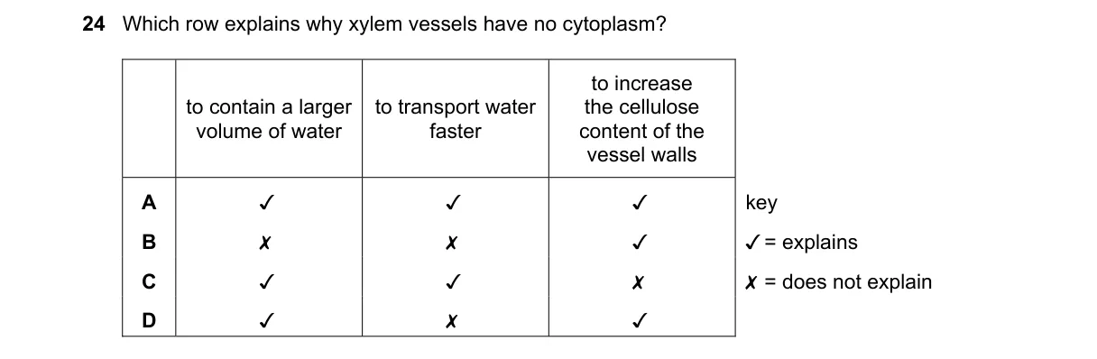 Question 24 from 9700/13/O/N/19