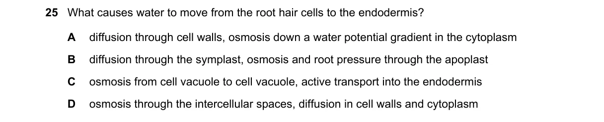 Question 25 from 9700/13/O/N/19