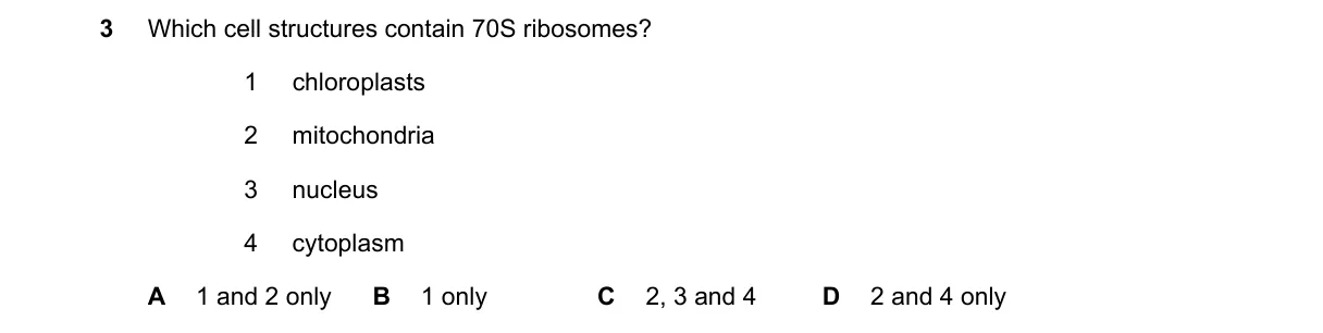 Question 3 from 9700/13/O/N/19