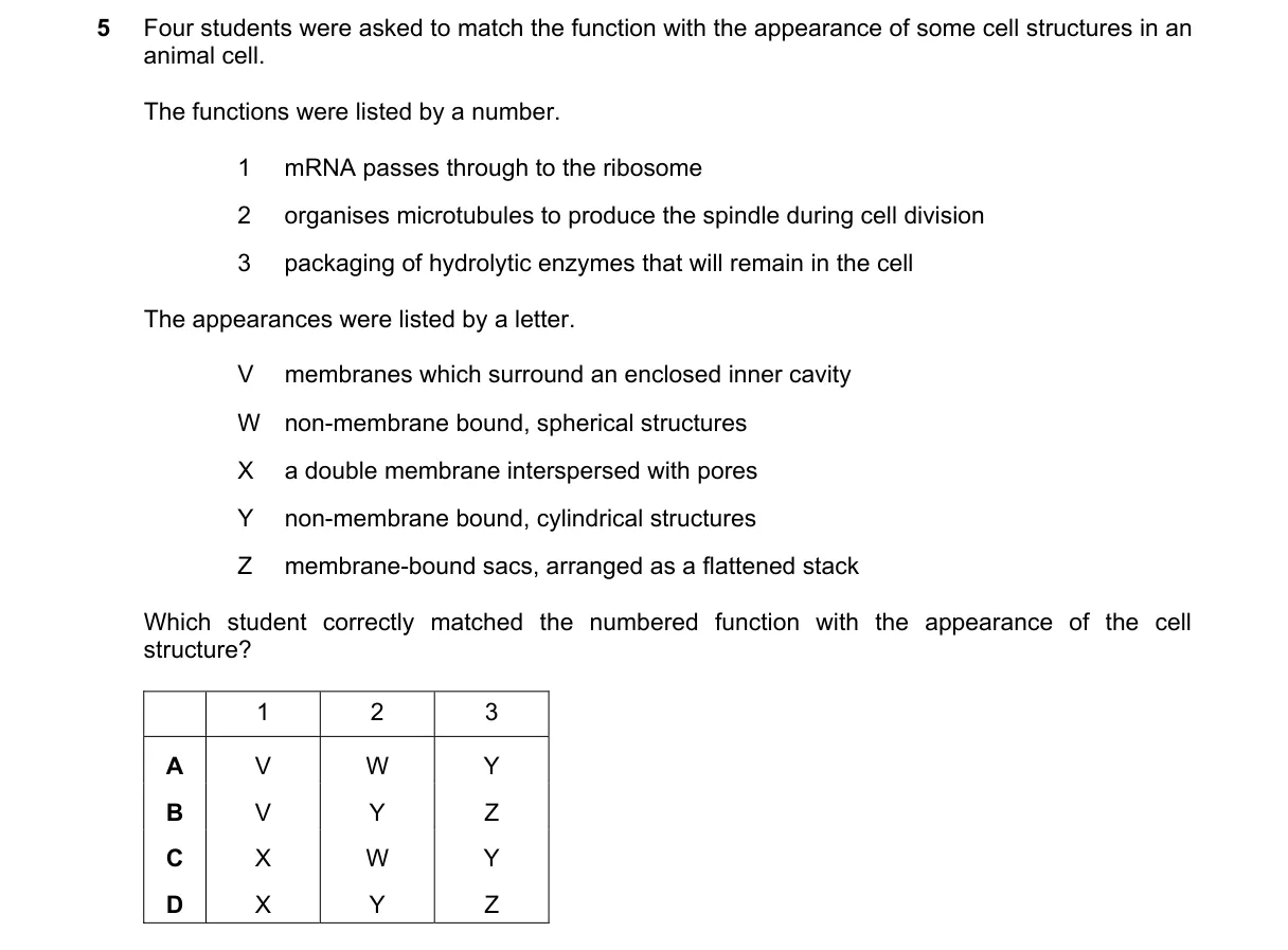 Question 5 from 9700/13/O/N/19