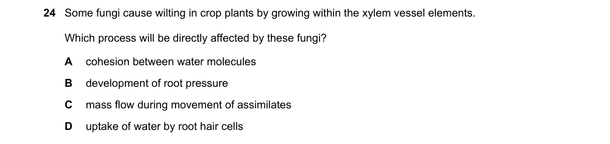 Question 24 from 9700/11/O/N/20