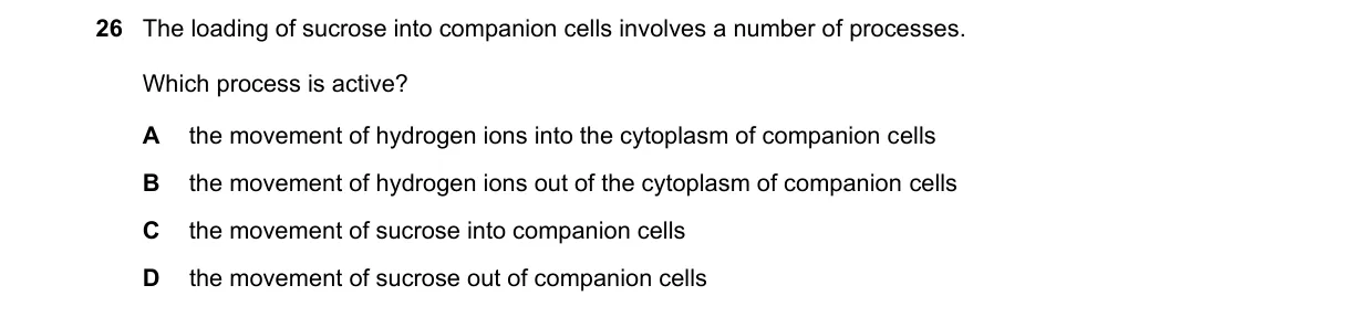 Question 26 from 9700/11/O/N/20
