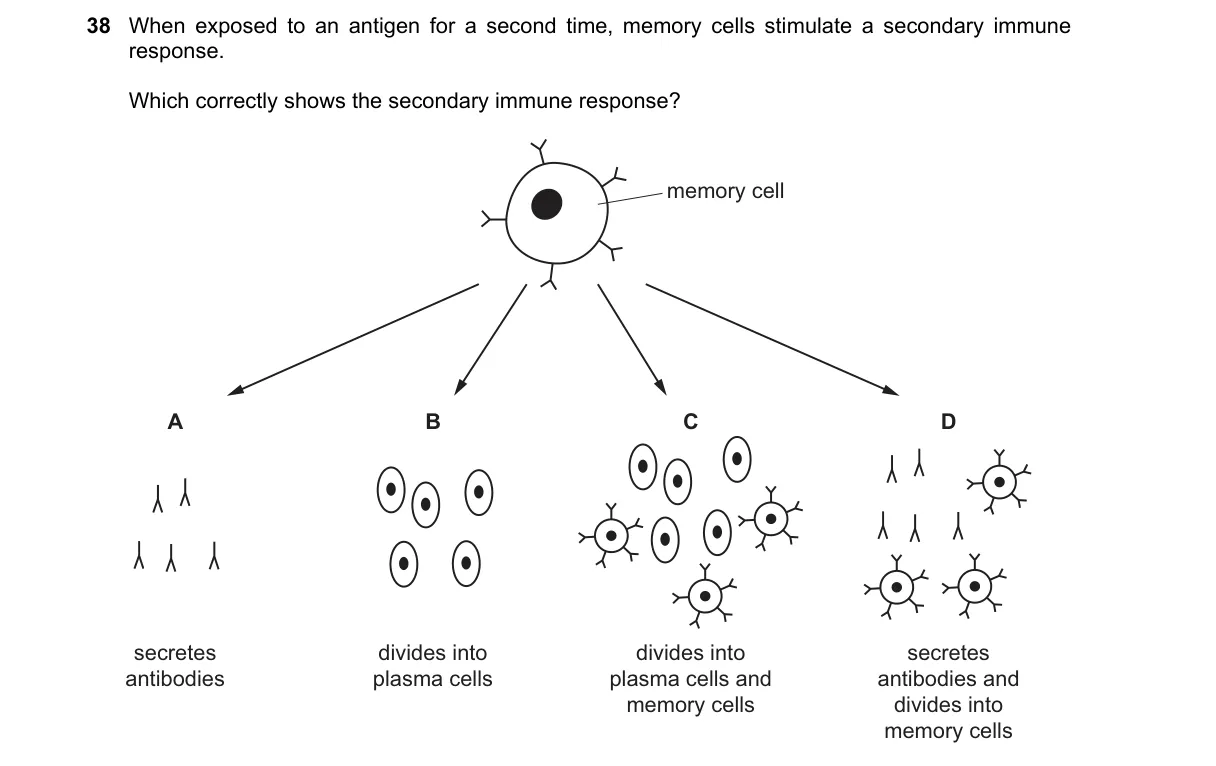 Question 38 from 9700/11/O/N/20