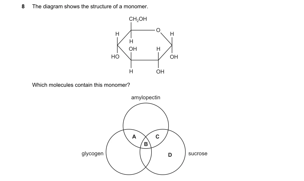 Question 8 from 9700/11/O/N/20