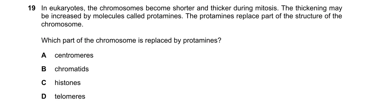 Question 19 from 9700/12/O/N/20
