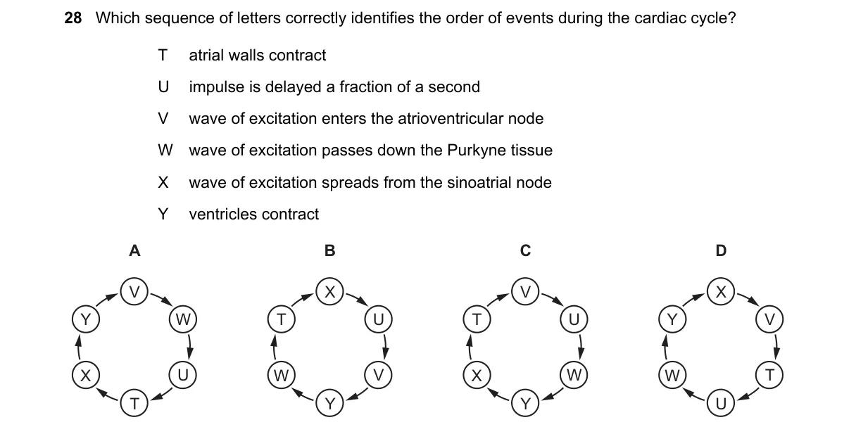 Question 28 from 9700/12/O/N/20
