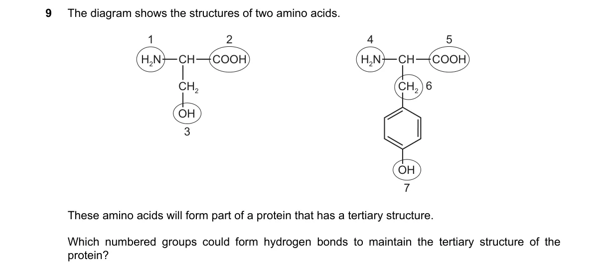 Question 9 from 9700/12/O/N/20