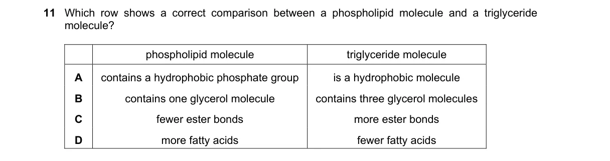 Question 11 from 9700/13/O/N/20