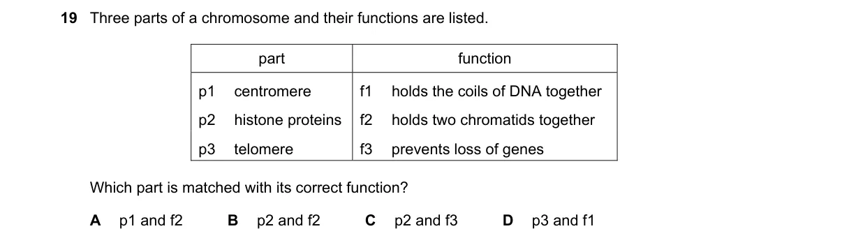 Question 19 from 9700/13/O/N/20