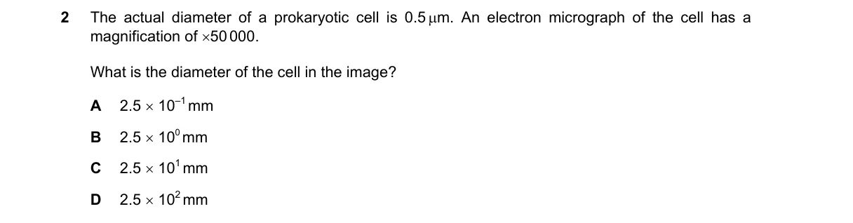 Question 2 from 9700/13/O/N/20