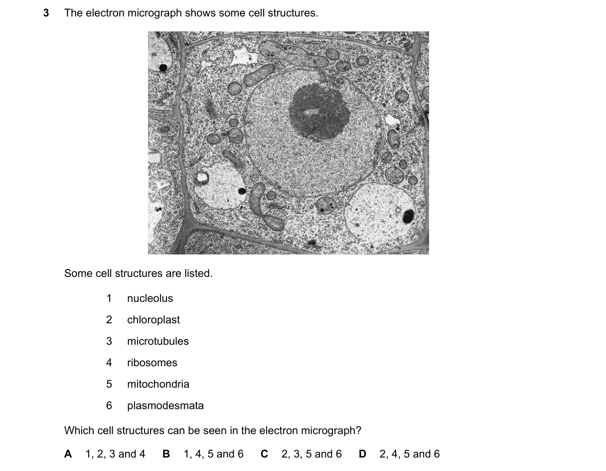Question 3 from 9700/13/O/N/20