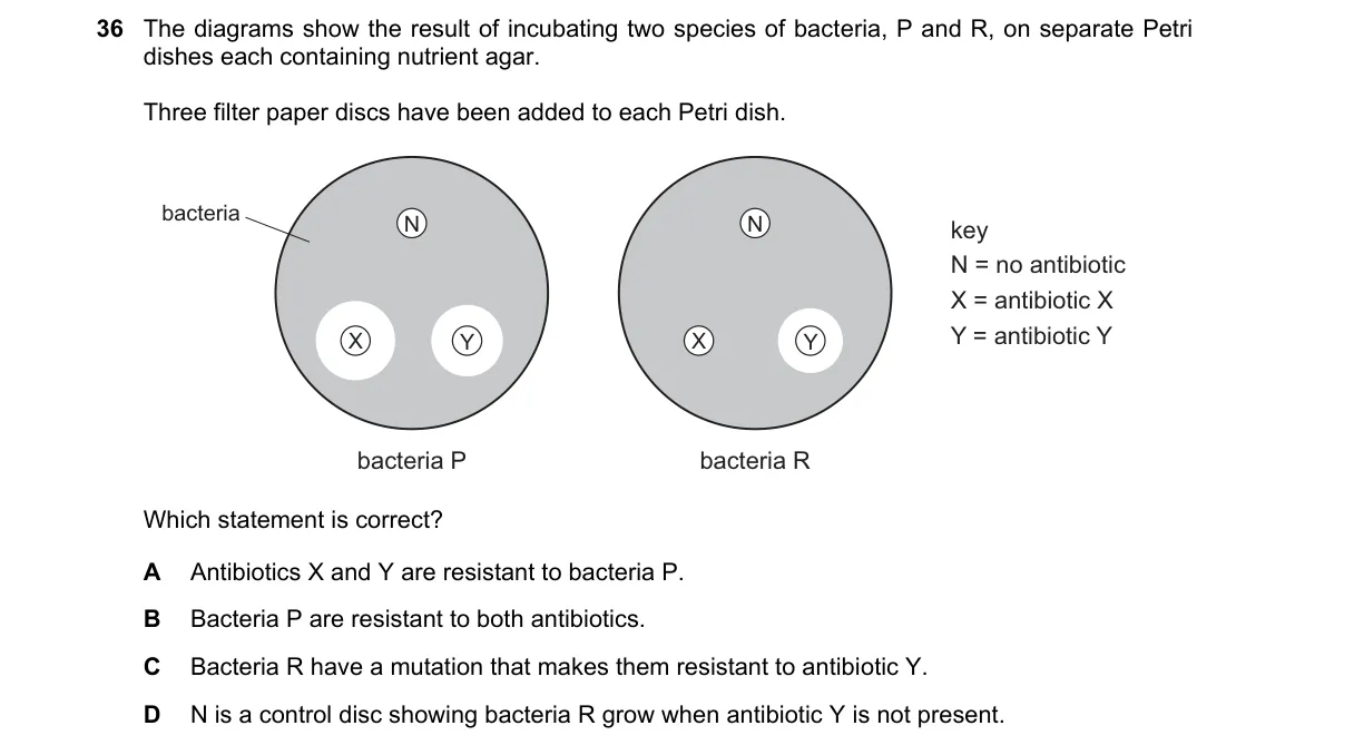 Question 36 from 9700/13/O/N/20