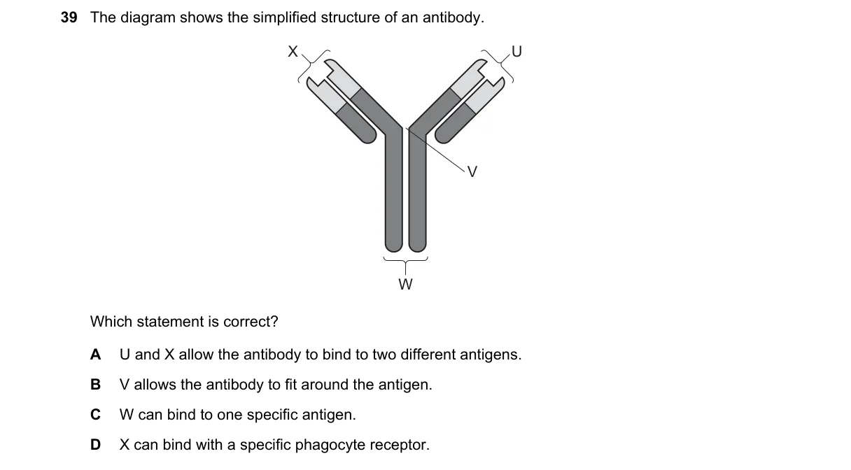 Question 39 from 9700/13/O/N/20