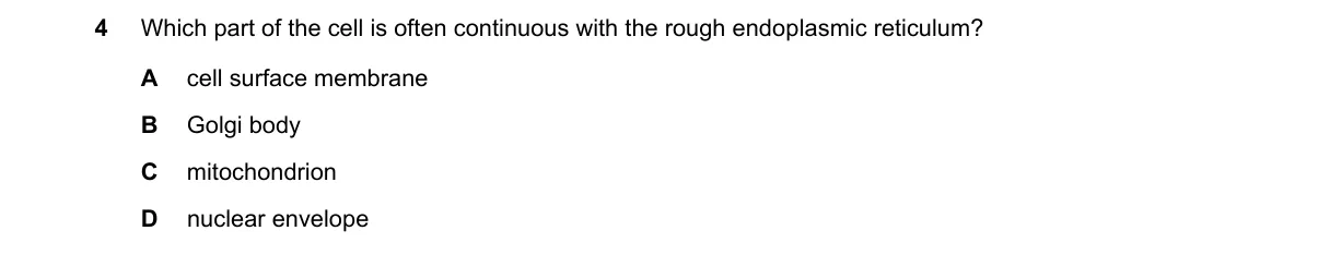 Question 4 from 9700/13/O/N/20