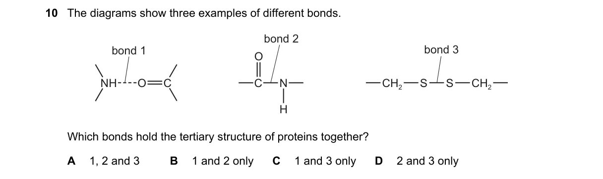 Question 10 from 9700/11/O/N/21